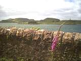 scan001207.jpg