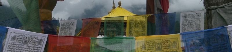North India (Bombay, Delhi, Dharamsala)