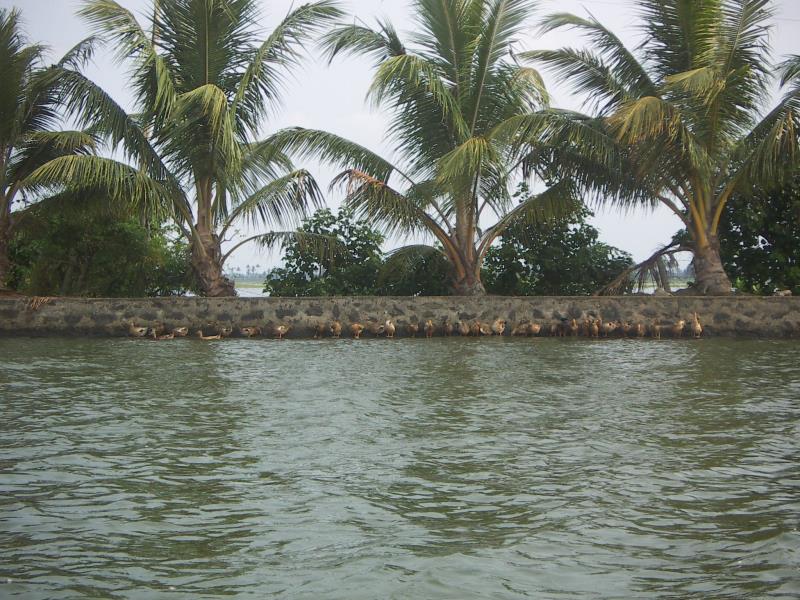 south106.jpg