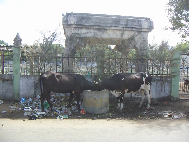 south38.jpg