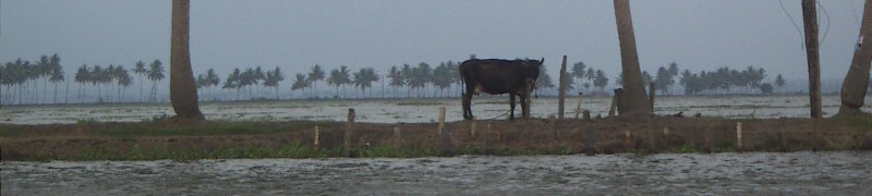 South India (Goa to Kerala)