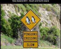 New Zealand 2011