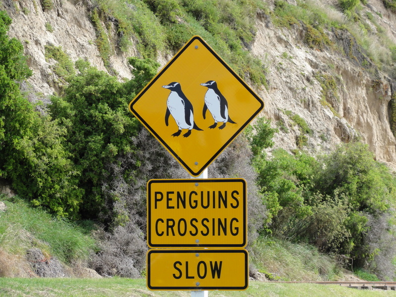 New Zealand 2011
