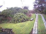 scan000323.jpg