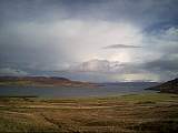 scan000347.jpg