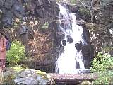scan000362.jpg