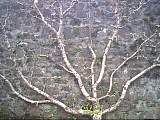 scan000367.jpg
