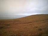 scan000391.jpg