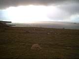 scan000398.jpg