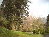 scan000441.jpg