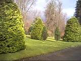 scan000442.jpg