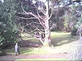 scan000450.jpg