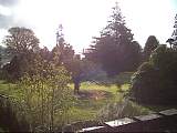 scan000454.jpg