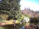 scan000457.jpg