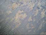 scan000482.jpg
