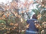 scan000494.jpg