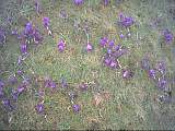 scan000507.jpg