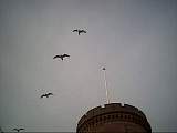 scan000510.jpg