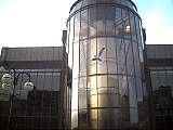 scan000517.jpg